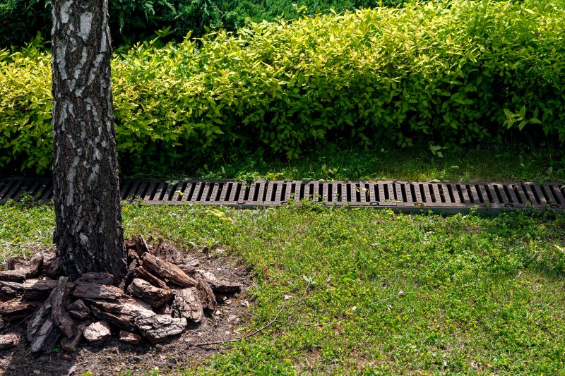 Muddy Yard Drainage in Tuscaloosa, AL