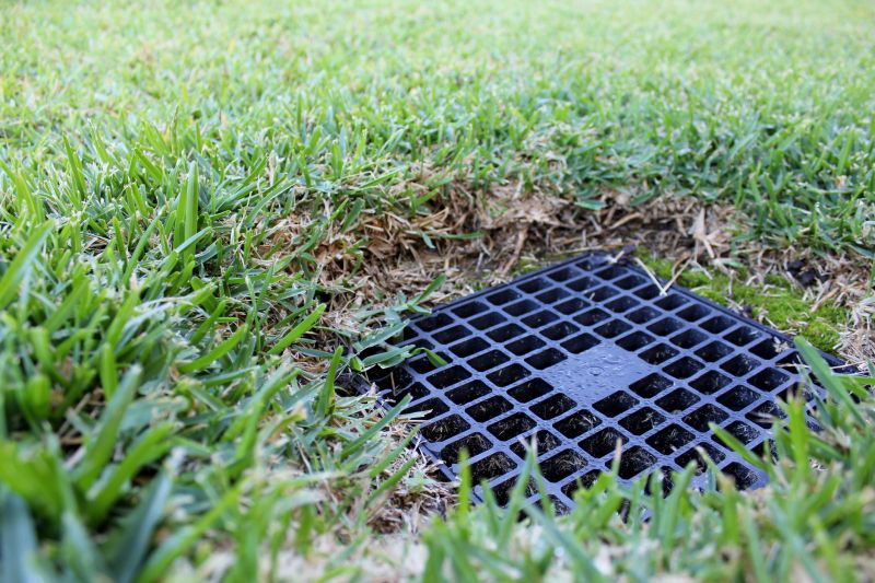Wet Yard Drainage in Birmingham, AL